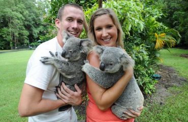 Hold a koala at Australia Zoo