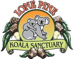Lone Pine Koala Sanctuary