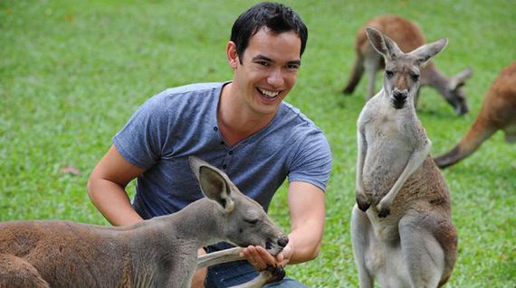 Feeding kangaroos at Australia Zoo